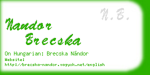 nandor brecska business card